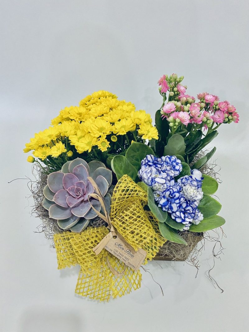 FLOREIRA COM MIX DE CORES
